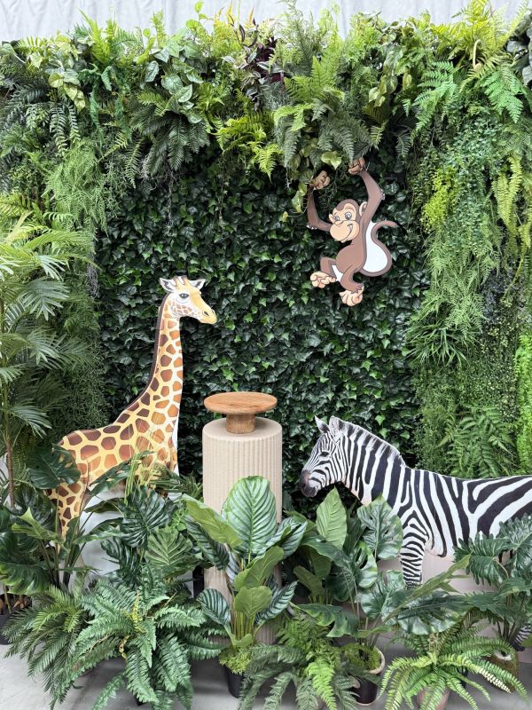 Jungle Theme Combination Package Photo